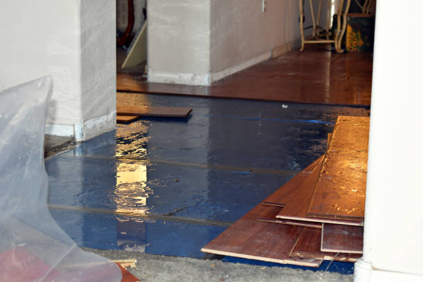 Professional Water Damage Restoration technician working in Winthrop, MN